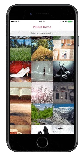 The iOS demo app running on a device.