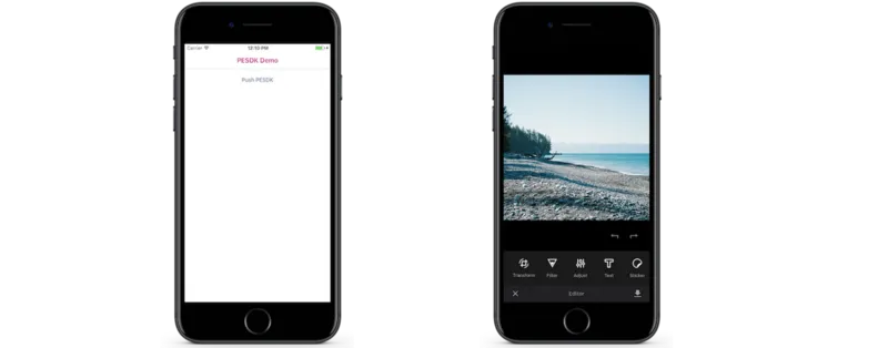 Our initial result: The button pushes our SDK with a sample image.