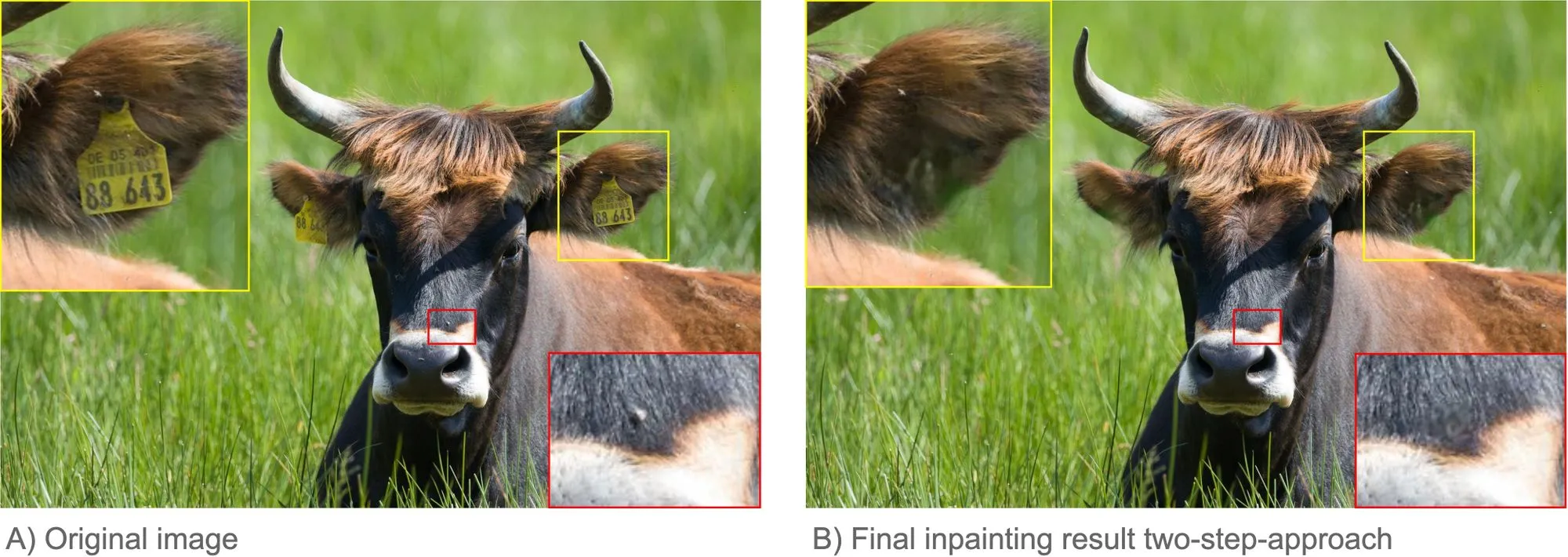 Figure 4: Two-step-approach. A) shows the original image; B) the final inpainting result after applying the two-step-approach