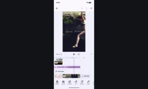Preview of Memories Editor demo