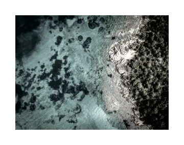 Android export result with a custom LUT filter applied