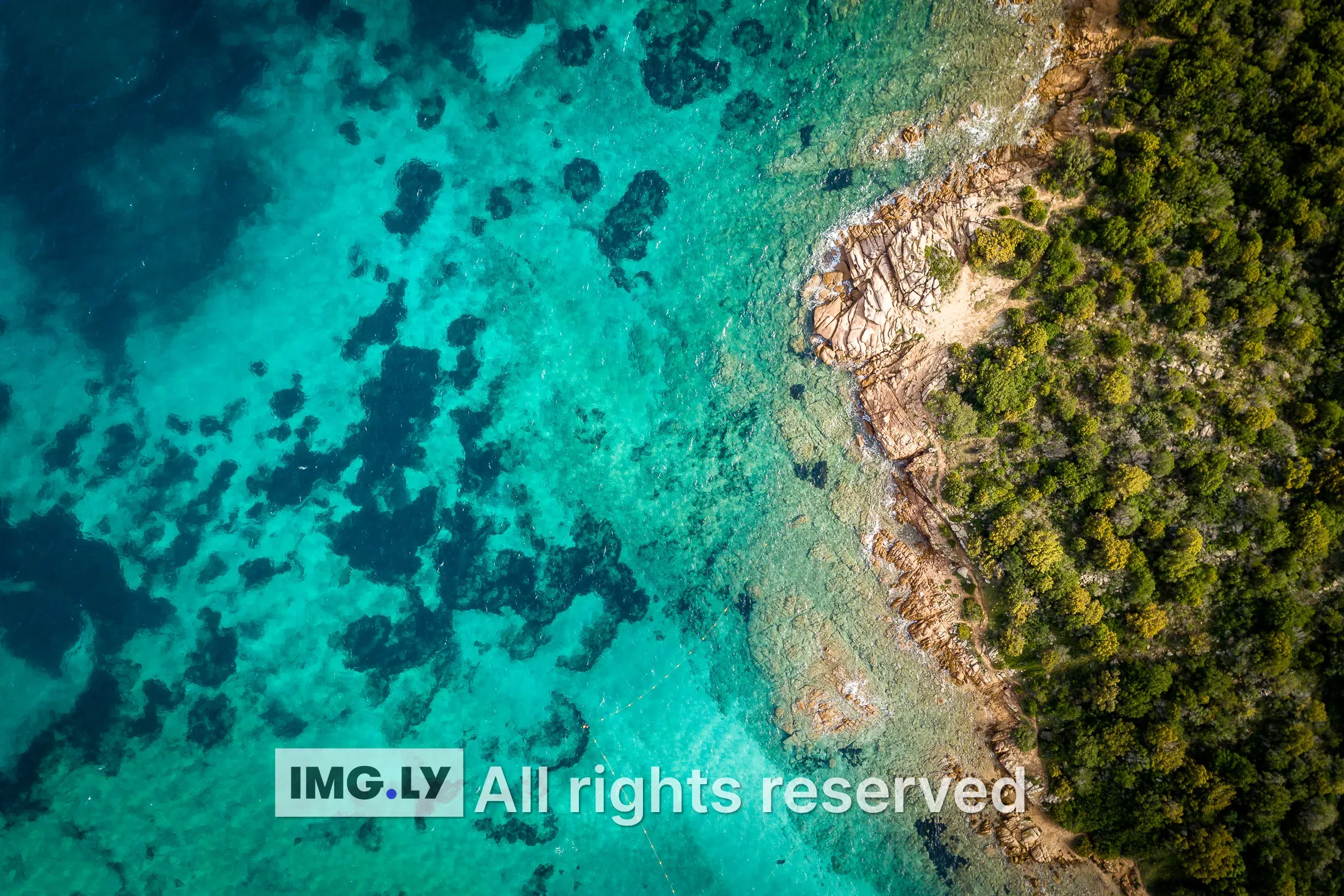 Add Watermark example showing an image with text and logo watermarks