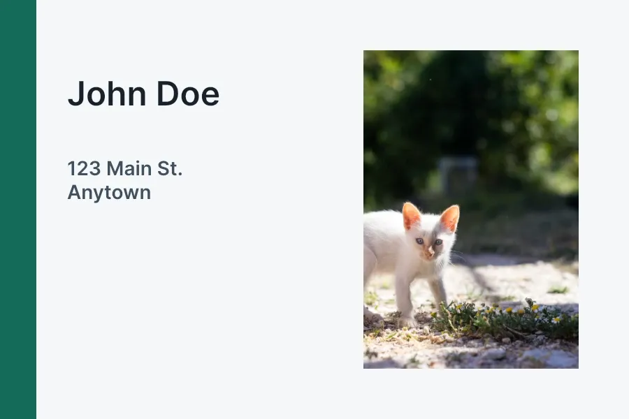 A personalized design showing John Doe and 123 Main St., Anytown beside a kitten photo.