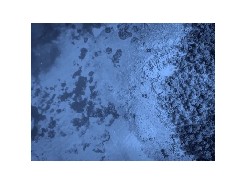 Supported Filters and Effects Android preview showing an image block with a duotone effect