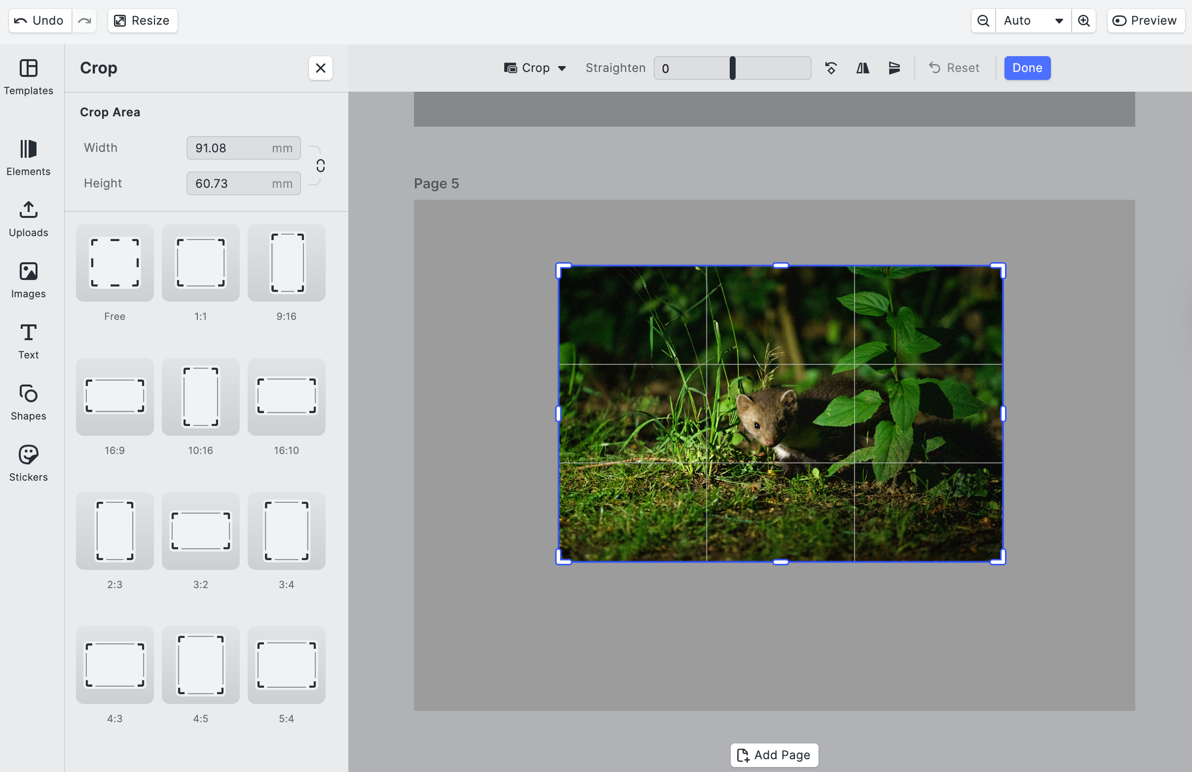Crop handles with different ratios