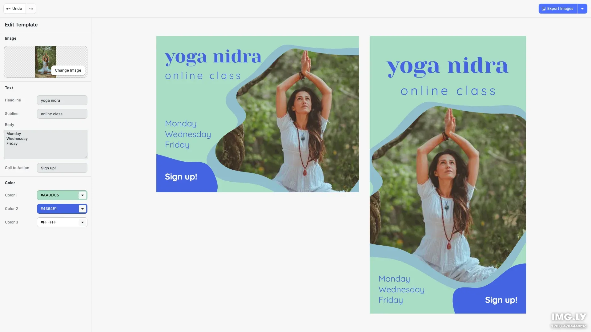 Design Editor starter kit showing a professional design editing interface