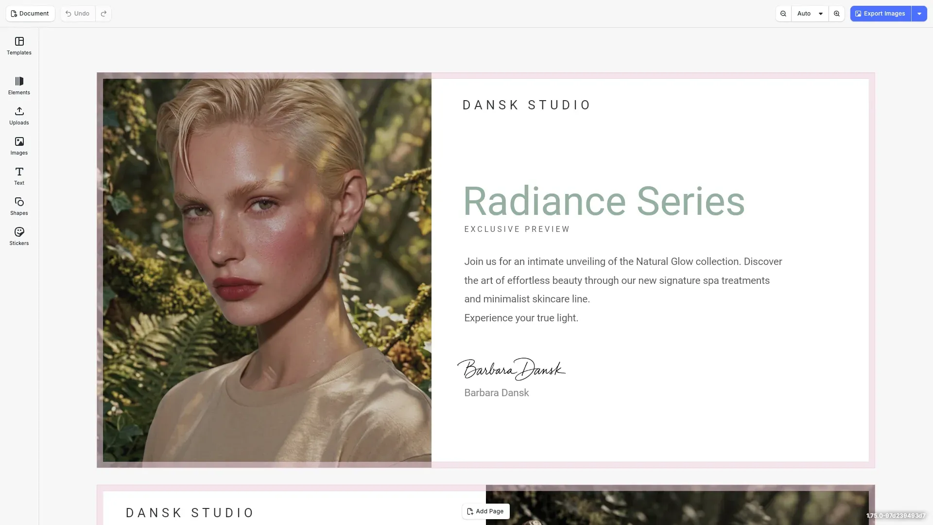 Perfectly Clear starter kit showing a design editor with a portrait image ready for enhancement