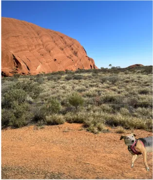 Example composited image.