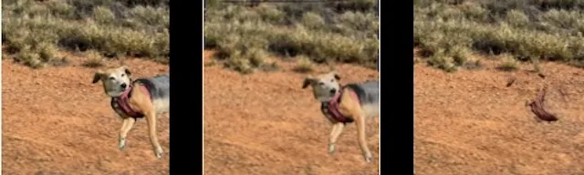 Color match range examples.