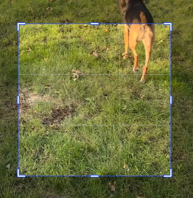 Video cropped using the scale ratio to remain centered