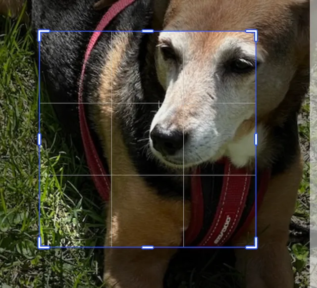 Image cropped using the scale ratio to remain centered