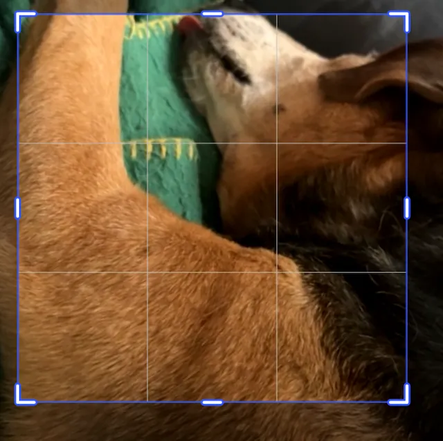 Video cropped and rotated