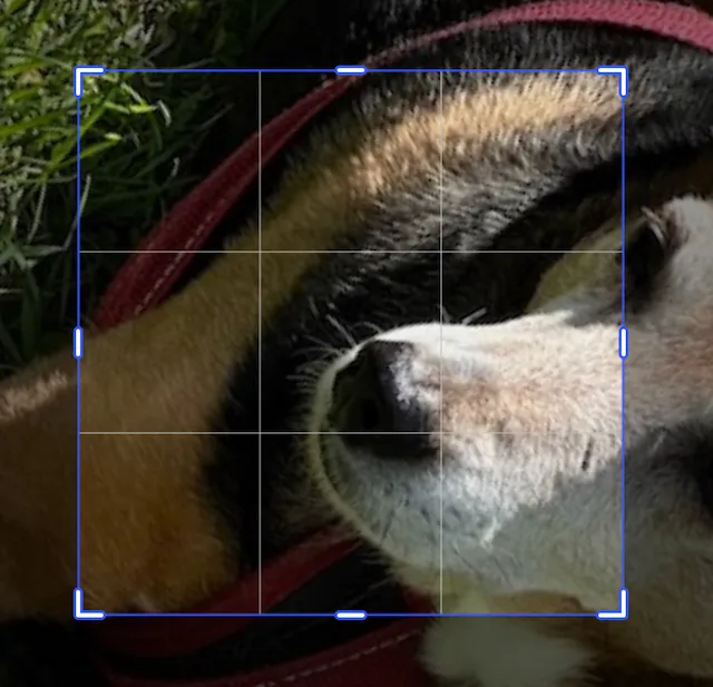 Image rotated first and then scaled