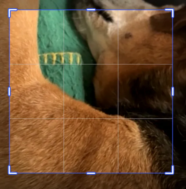 Video rotated first and then scaled