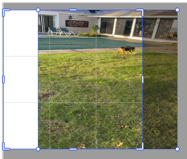 Video crop translated one quarter of its width to the right