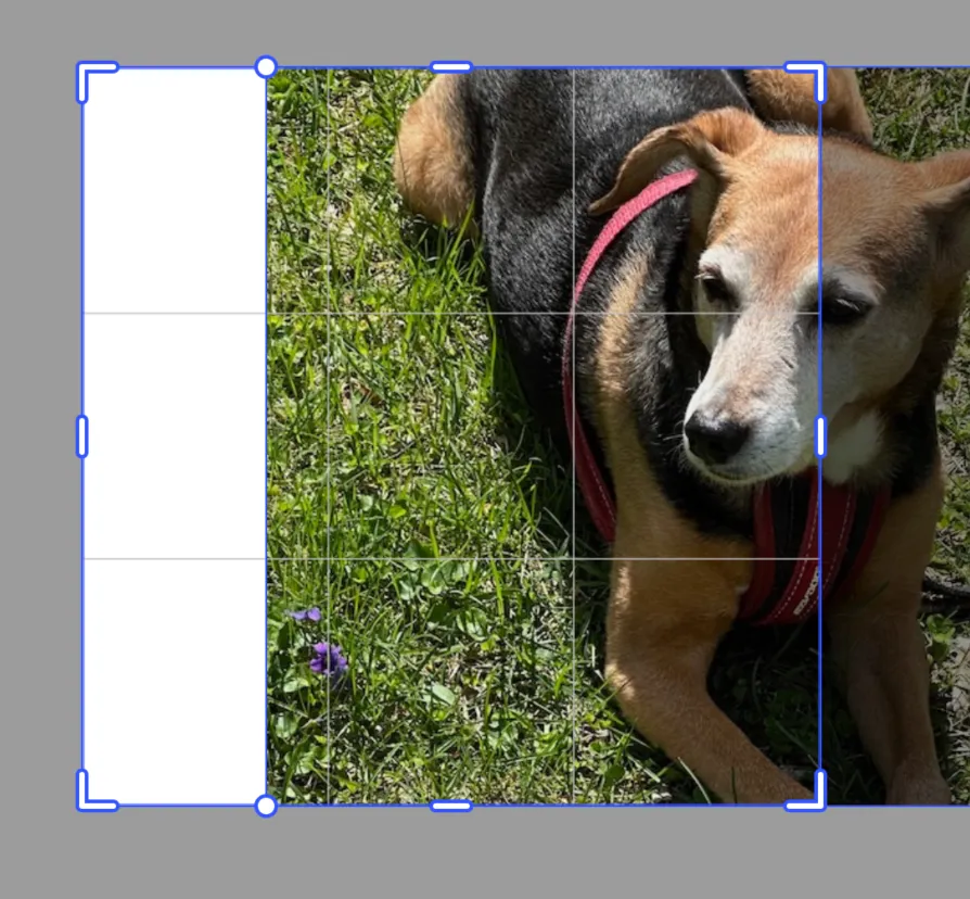 Image crop translated one quarter of it's width to the right