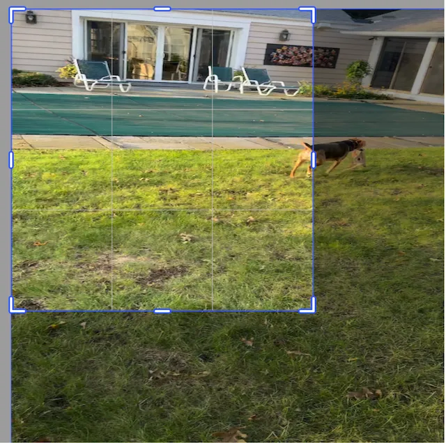 Video crop scaled by 1.5 with no corresponding translation adjustment