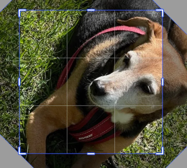 Image crop rotated by pi/4 or 45 degrees