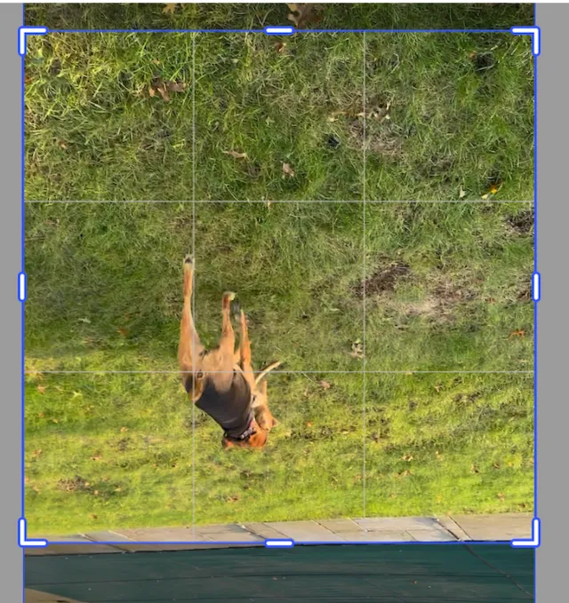 Image crop flipped vertically