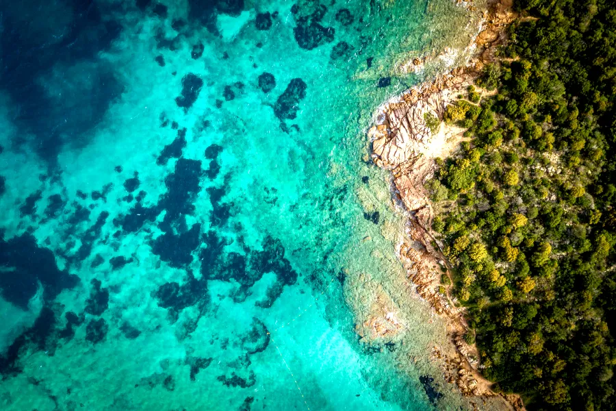 Programmatic image editing result with resized, cropped, and adjusted image content