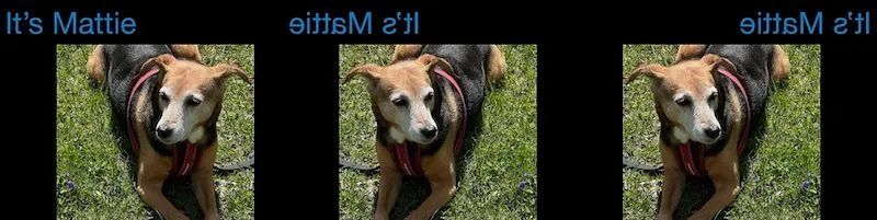 Items flipped individually and as a group