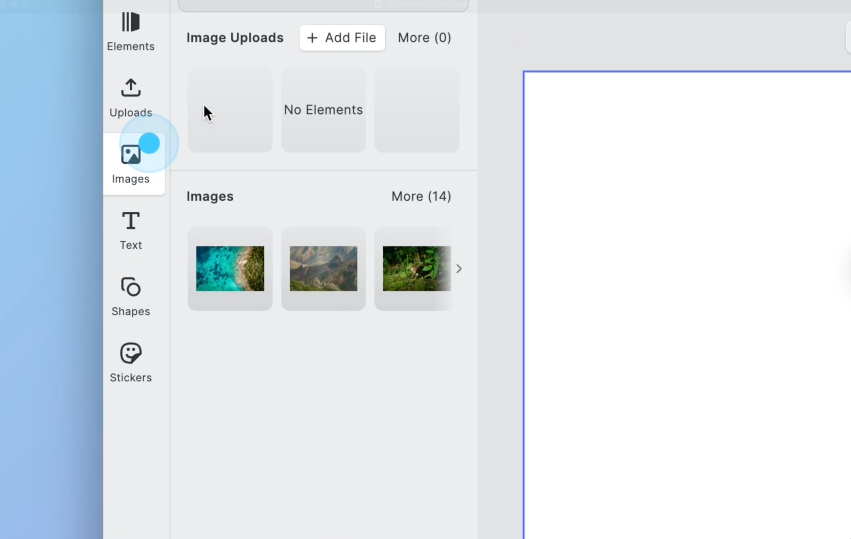Images button in the Editor menu