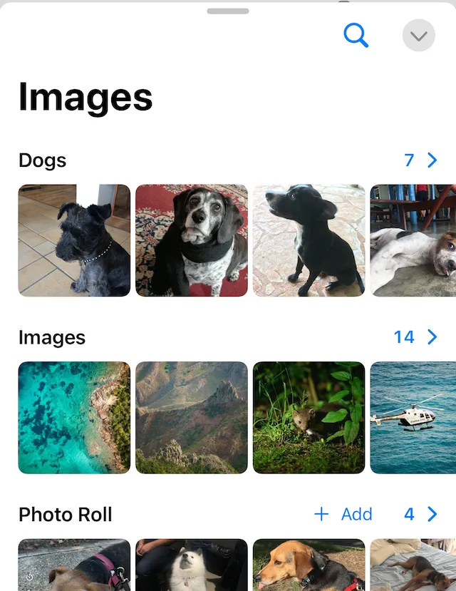 Asset Panel for images showing three asset sources