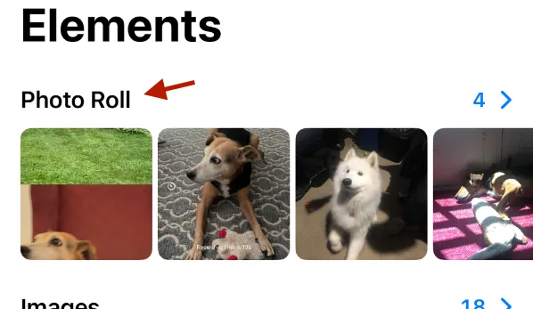 Asset catalog showing Photo Roll source.
