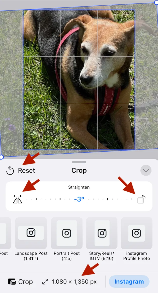 An image that has been scale cropped and rotated slightly showing the cropped and original image.