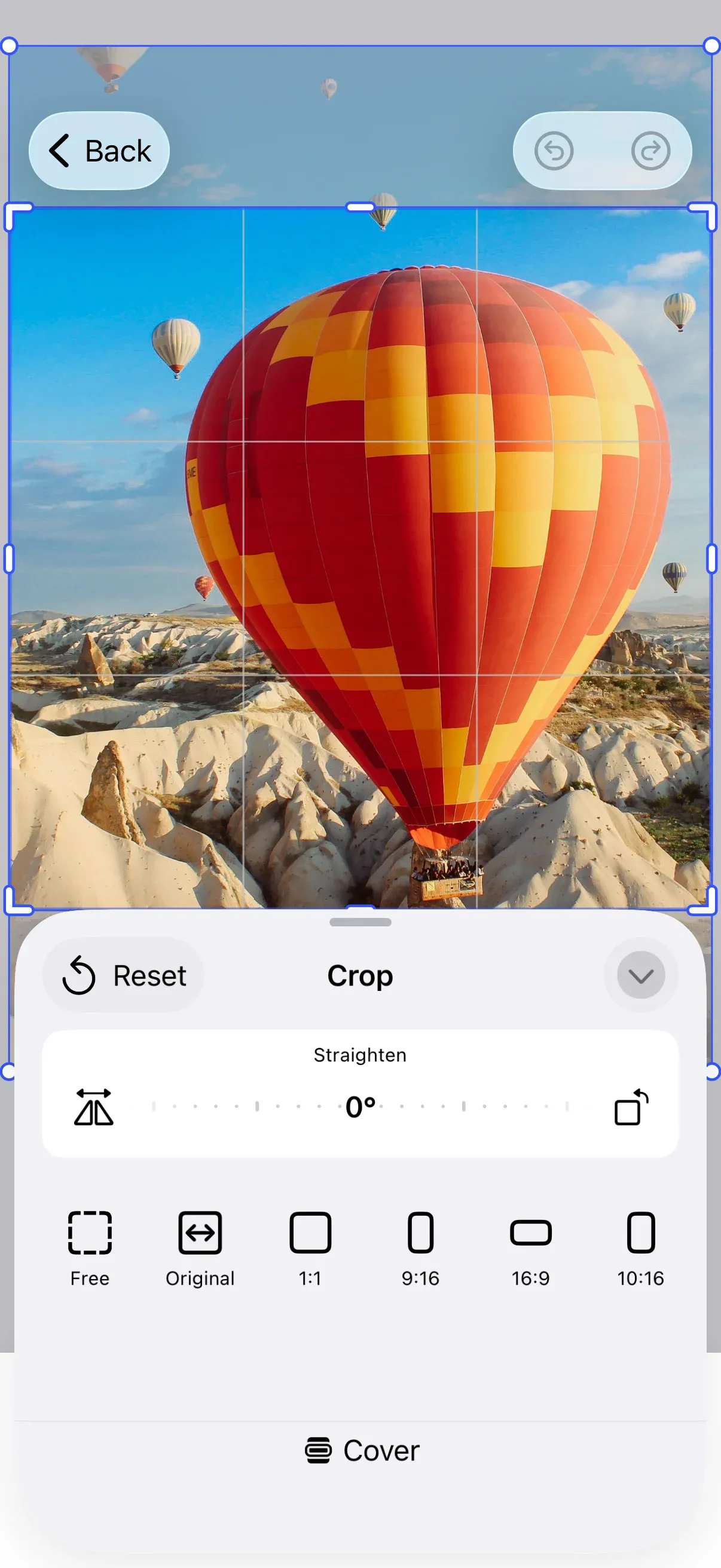 The crop sheet open over a sample image, showing the horizontally scrollable preset strip.