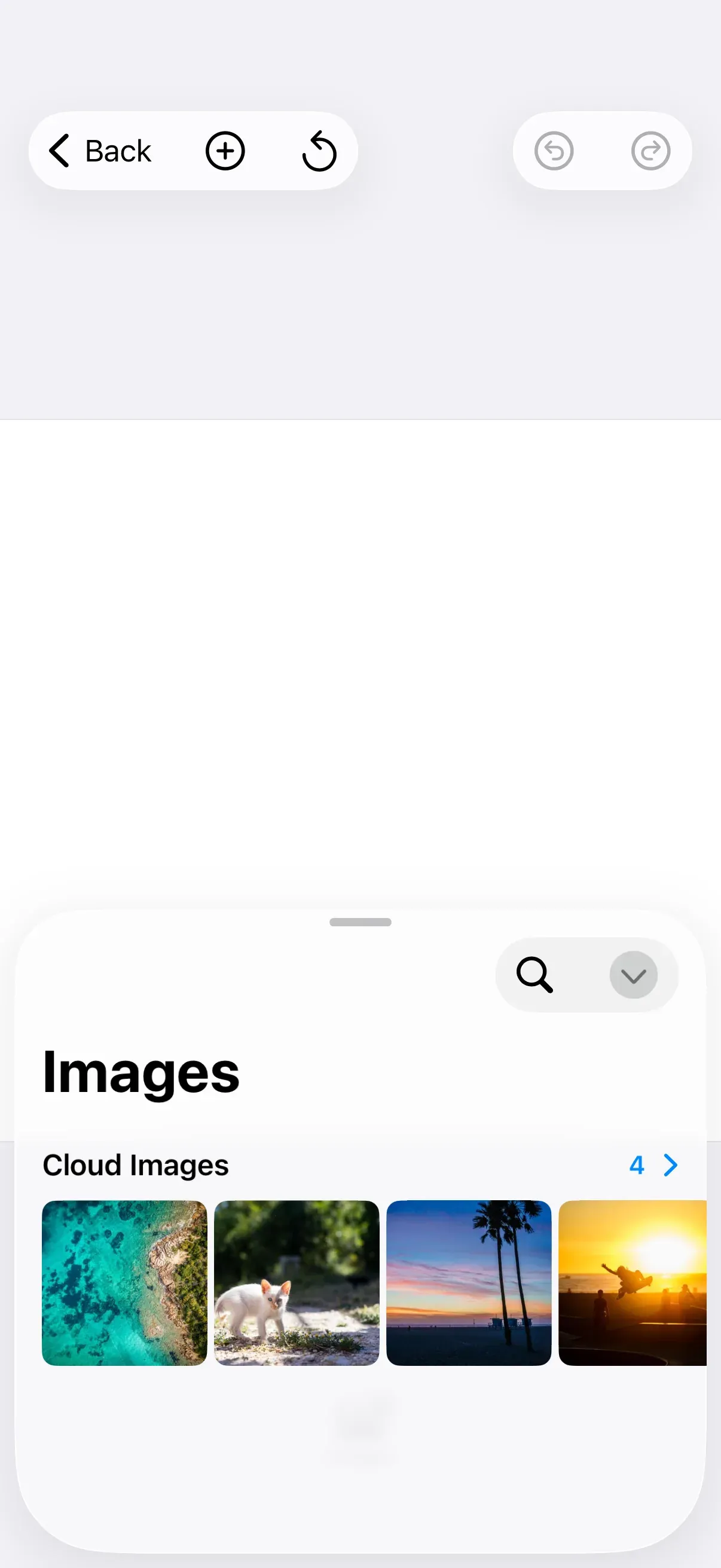 The editor’s asset library open at a medium detent on a custom cloud image source, with navigation-bar buttons that refresh it live