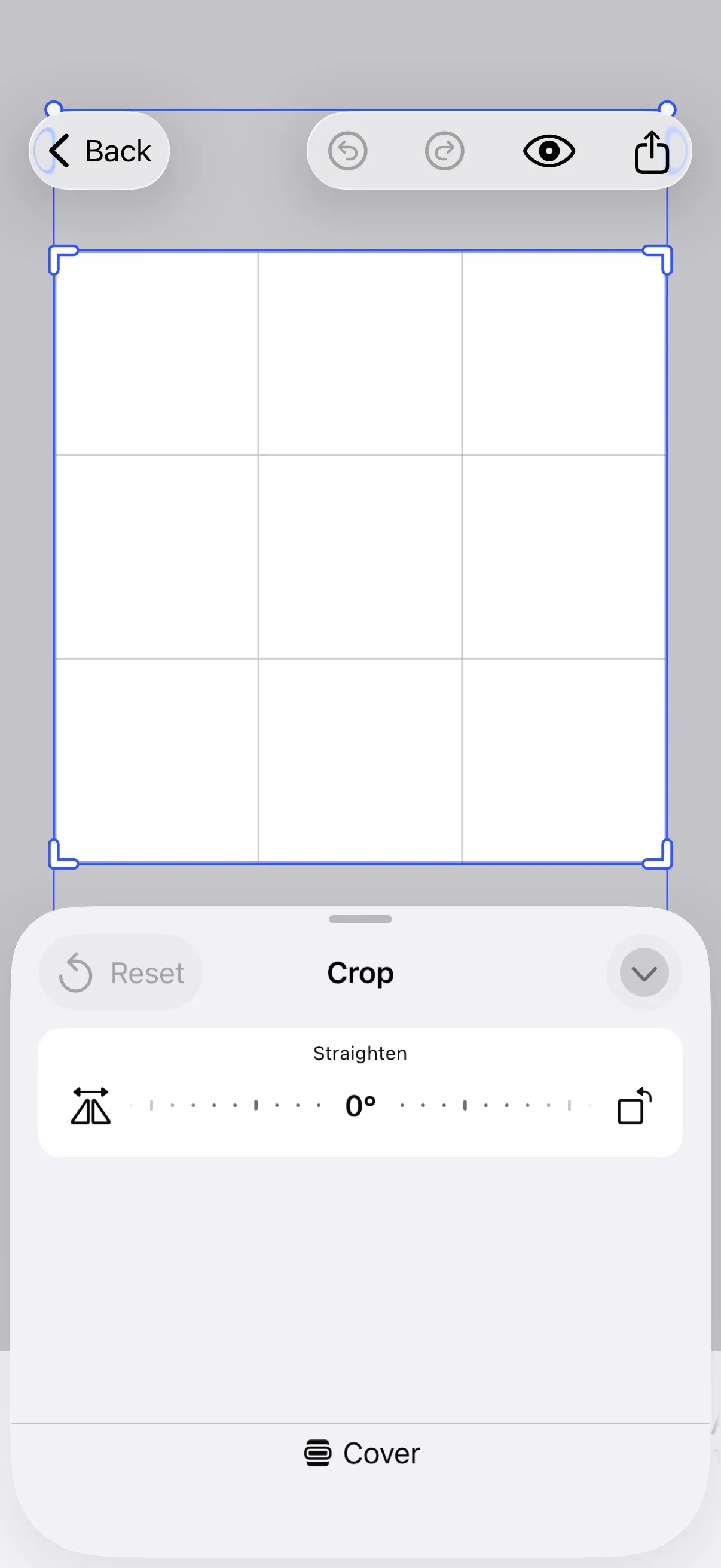 Force Crop interface showing preset application