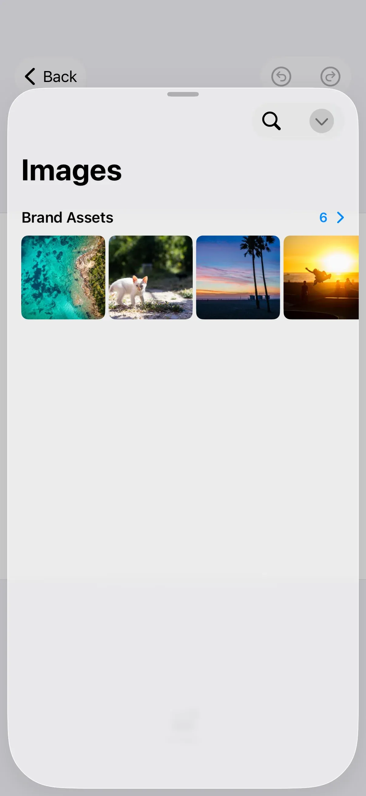 The editor’s Images tab showing a custom Brand Assets source