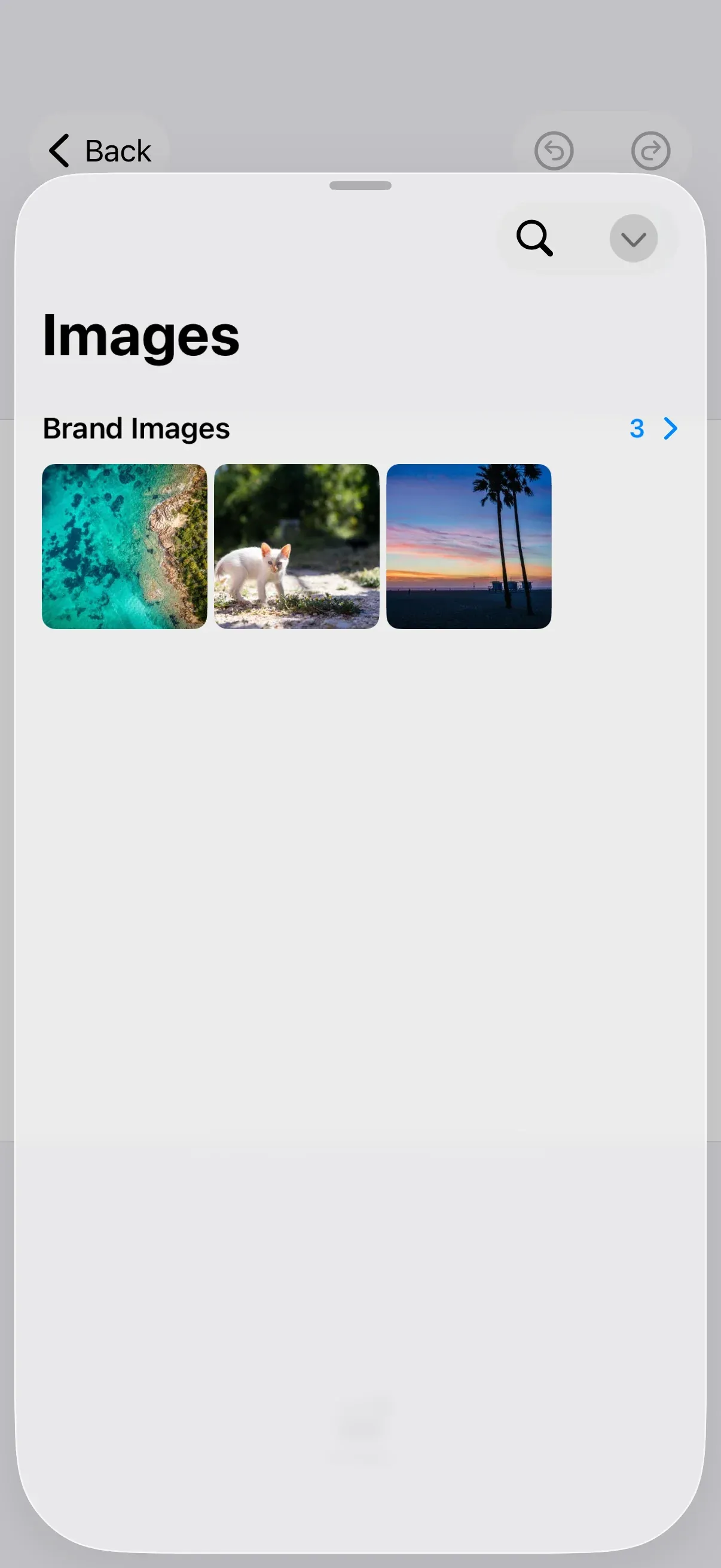 The editor’s asset library open on a custom image source, reached from a dock button