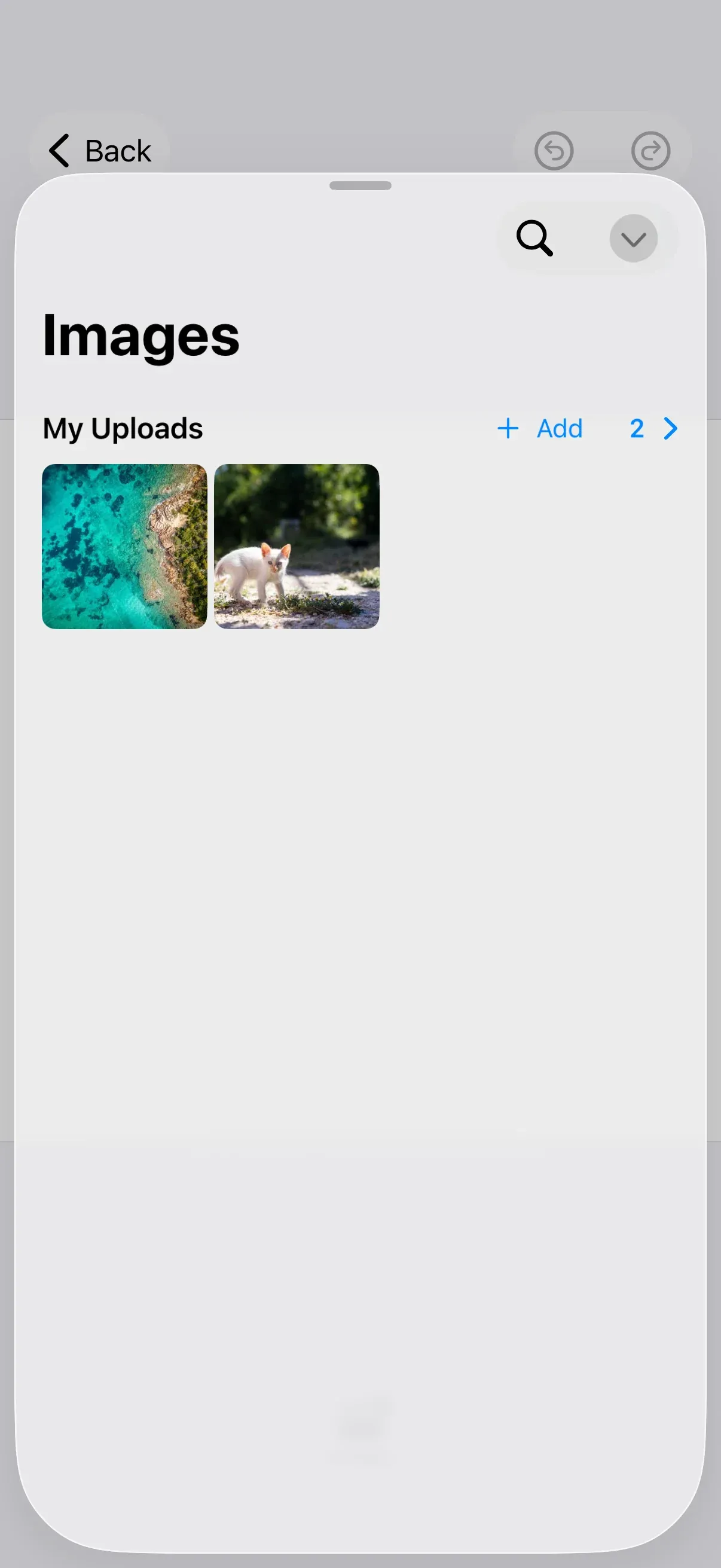The editor’s asset library open on an upload section with the “+ Add” button