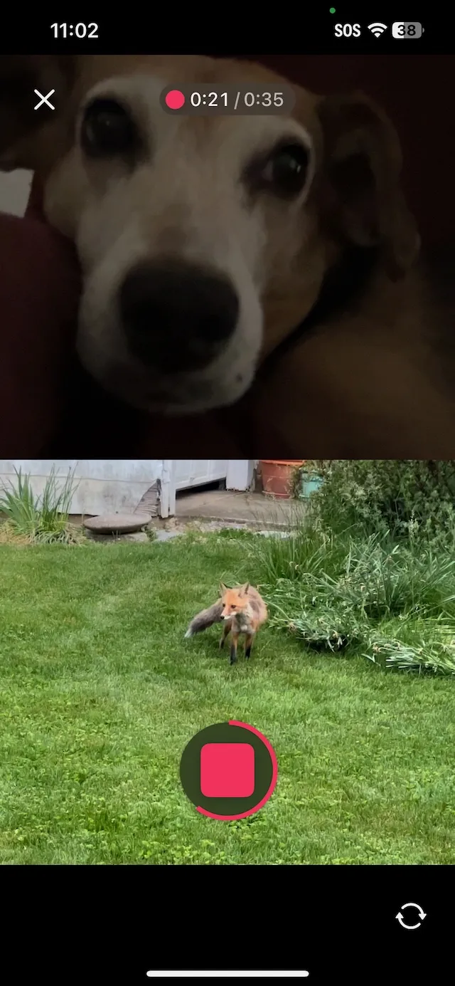 Camera UI when in Reaction Mode