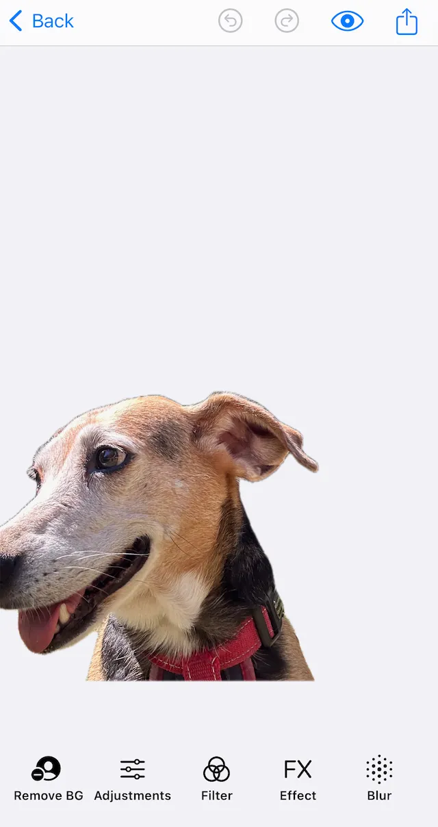 Image with background removed.