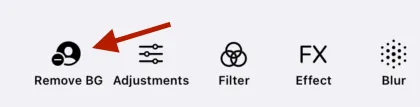 The dock button created by the code snippet
