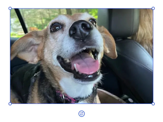 Image resized to 400px by 400px