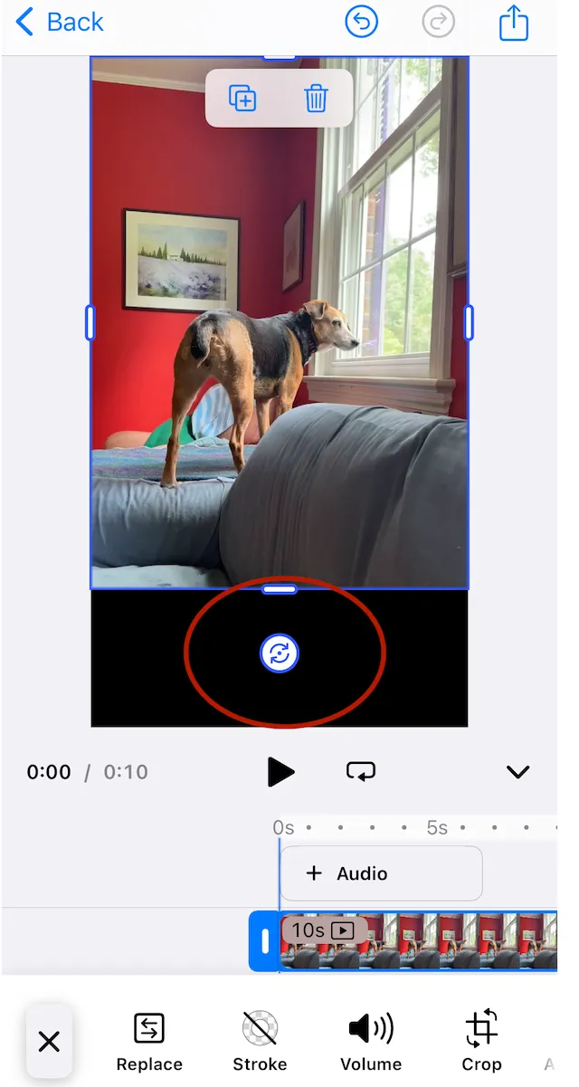 Video rotation handle showing video can be rotated