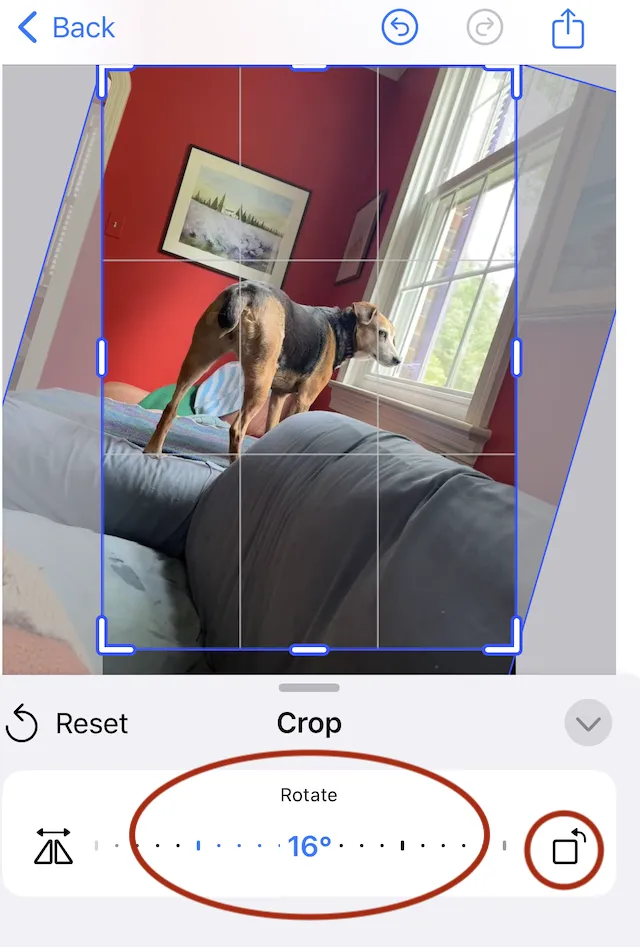 Crop menu showing rotation slider and button
