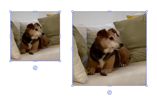 Original image and scaled image