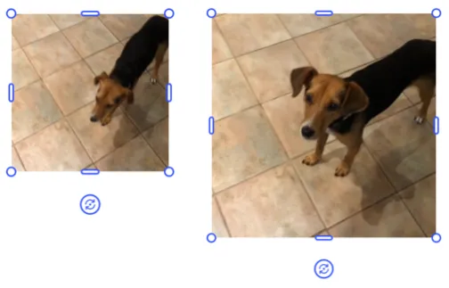 Allowing the engine to scale the video as you adjust the width of the block