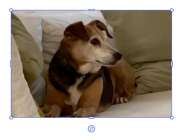Allowing the engine to scale the image as you adjust the width of the block