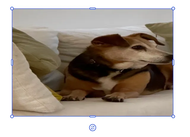 Using crop scale for the horizontal axis and adjusting the width of the block