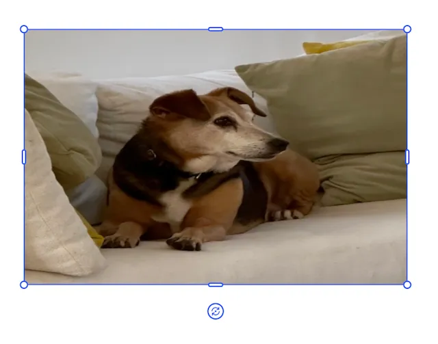 Using crop scale for the horizontal axis and using the maintainCrop property when changing the width