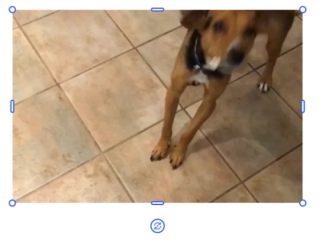 Allowing the engine to scale the video as you adjust the width of the block