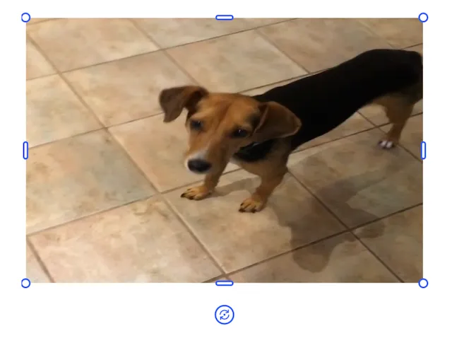 Using crop scale for the horizontal axis and using the maintainCrop property when changing the width
