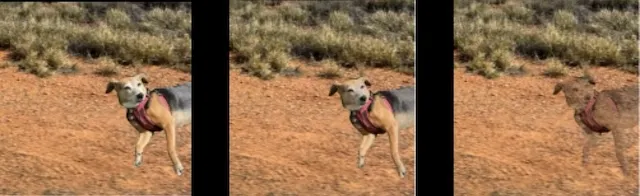 Color match range examples.