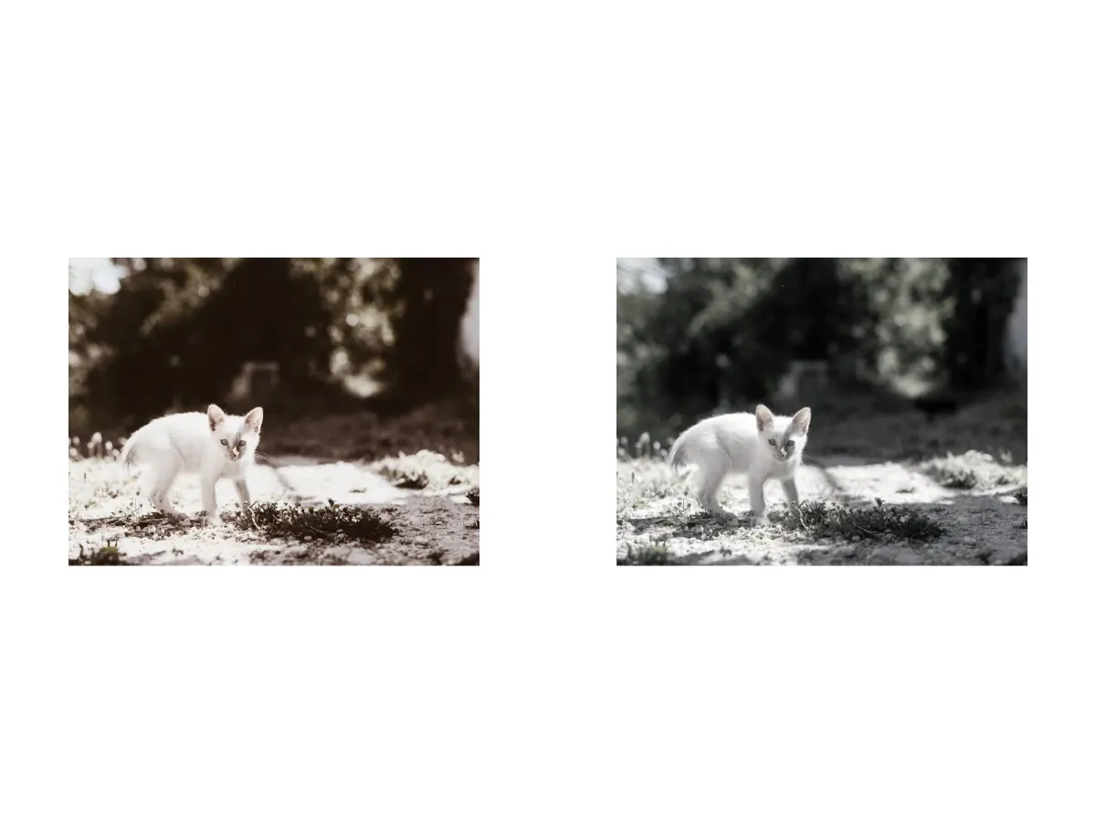 The same photo shown twice: on the left a custom warm sepia LUT filter, on the right a custom black-and-white monochrome LUT filter.